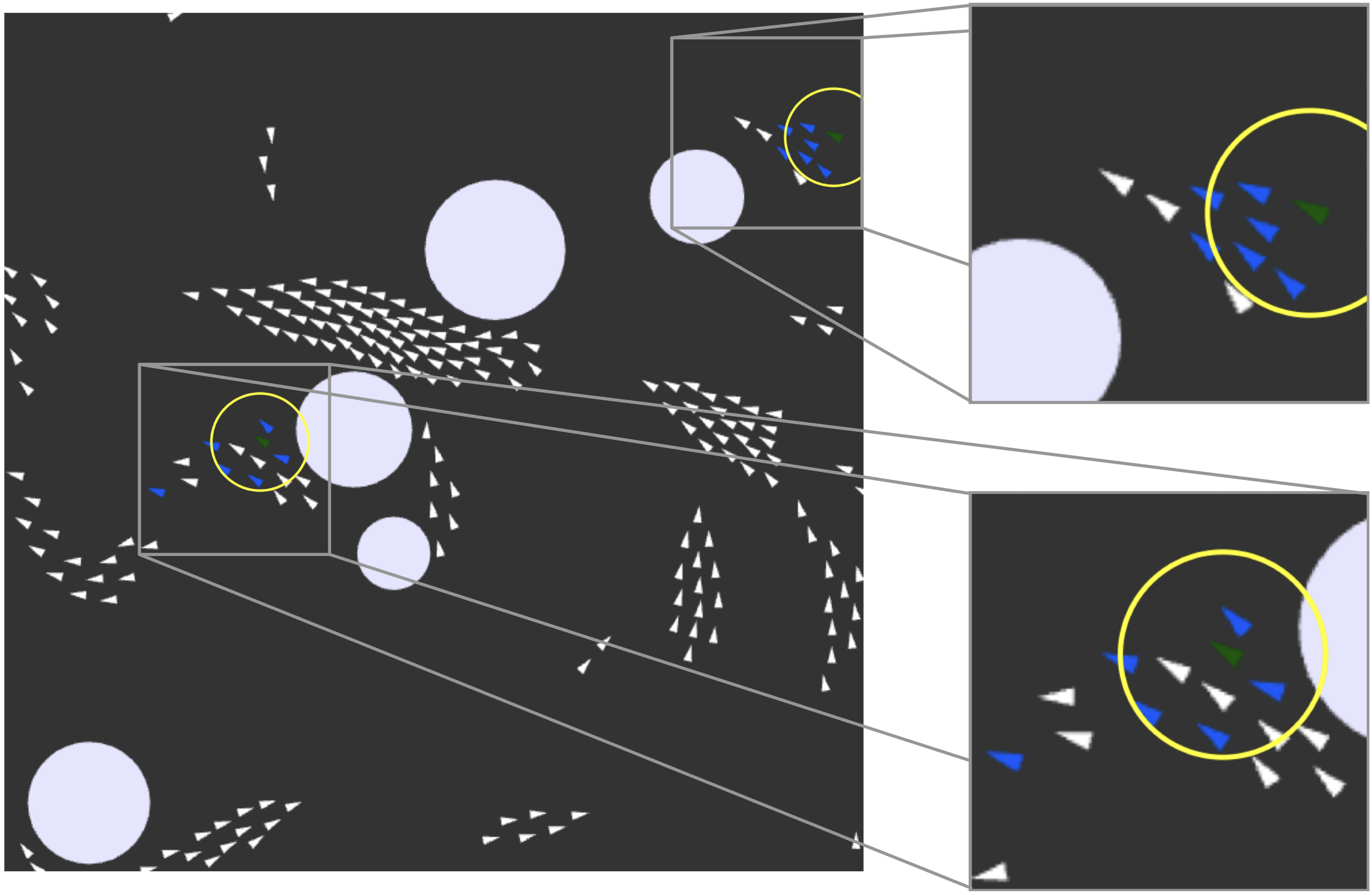 Explainable boids image